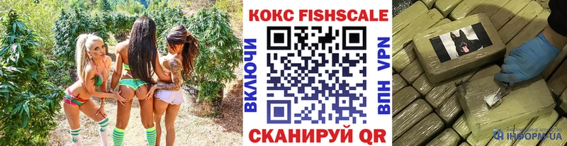 КОКАИН Эквадор  наркошоп  Пыталово 