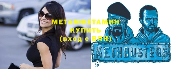 шишки Надым