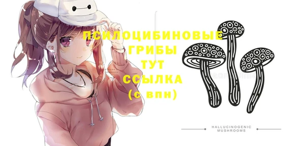 прущие грибы Нея