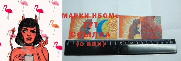 шишки Надым