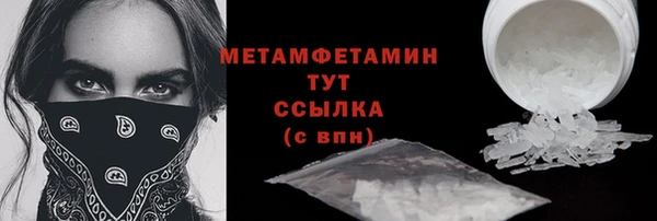 прущие грибы Нея