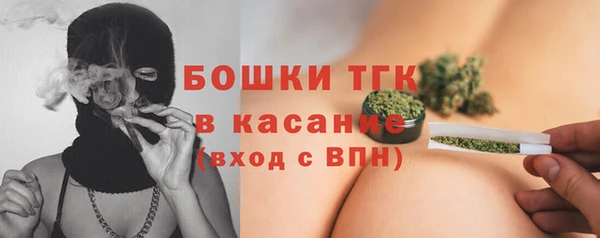 шишки Надым