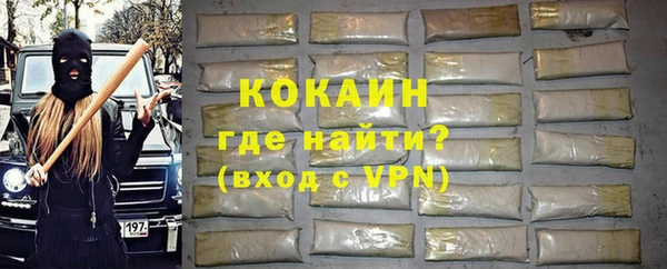 шишки Надым