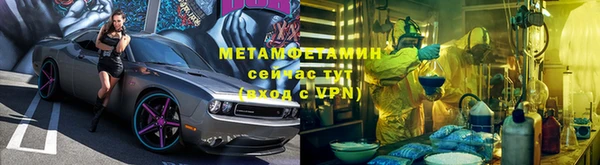 шишки Надым
